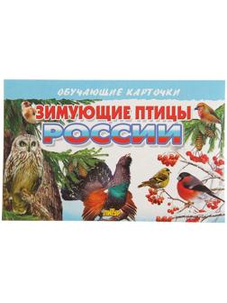 Обучающие карточки «Зимующие птицы России», 16 карточек