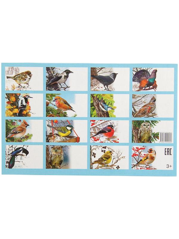 Обучающие карточки «Зимующие птицы России», 16 карточек