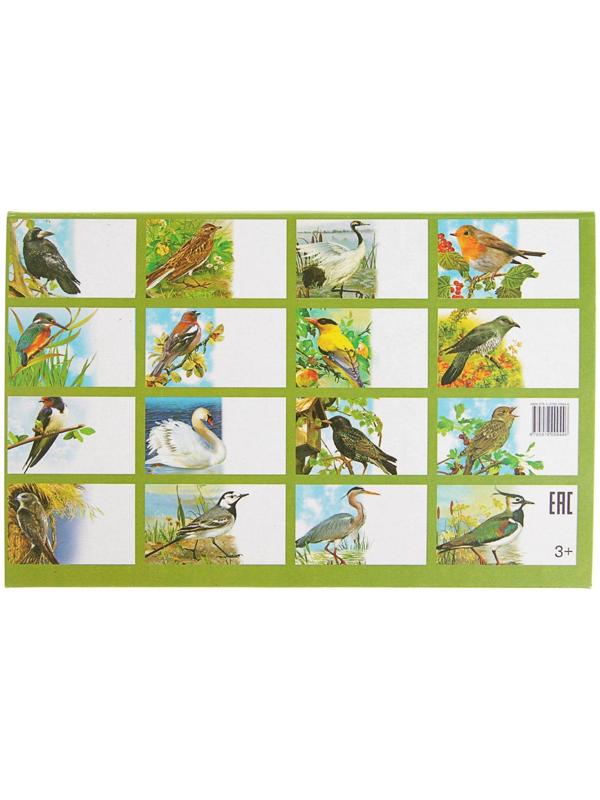 Обучающие карточки «Перелётные птицы России», 16 карточек