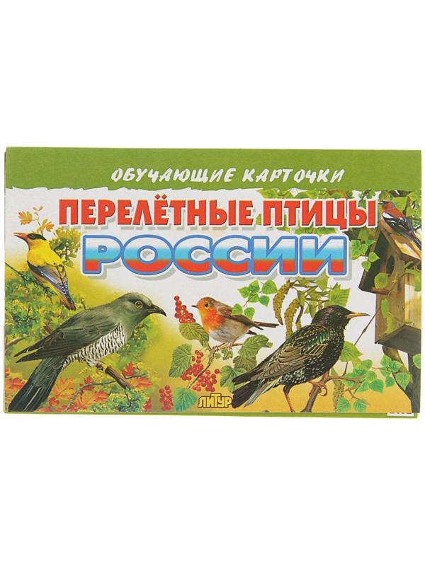 Обучающие карточки «Перелётные птицы России», 16 карточек