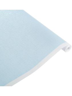 Бумага масштабно-координатная, ширина 878 мм, в рулоне 10 метров, 40 г/м2, голубая