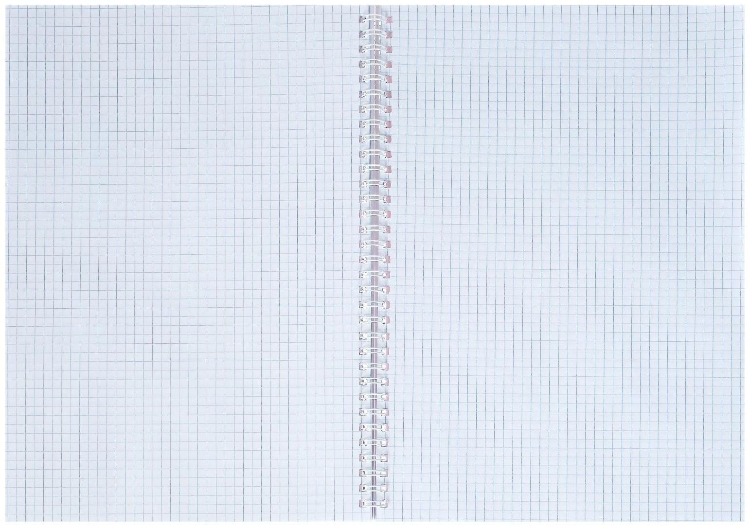 Тетрадь А4, 96 листов в клетку на гребне 