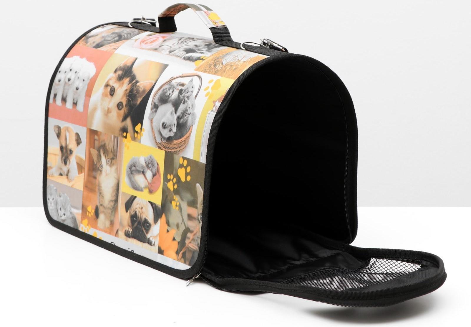 Сумка-переноска с принтом, 40 х 25 х 28 см микс