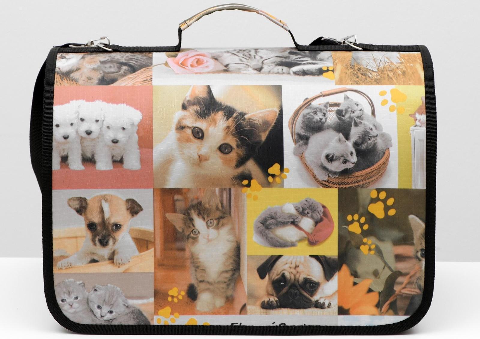 Сумка-переноска с принтом, 40 х 25 х 28 см микс