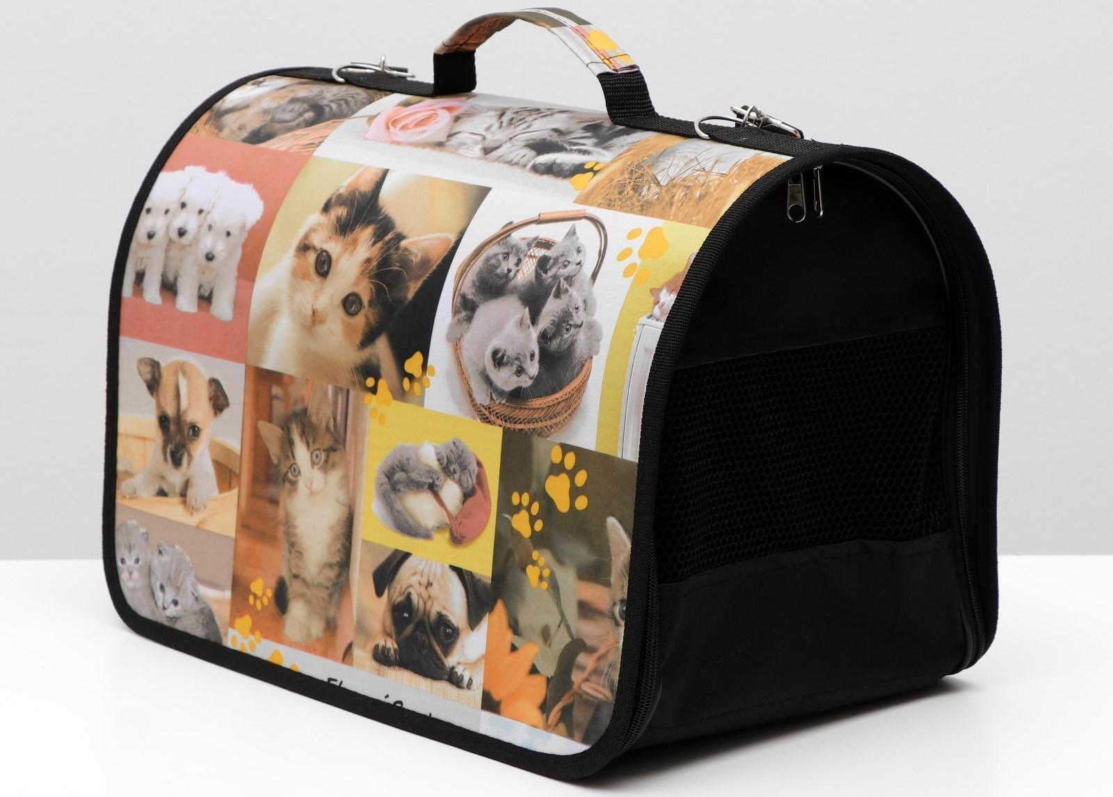 Сумка-переноска с принтом, 40 х 25 х 28 см микс