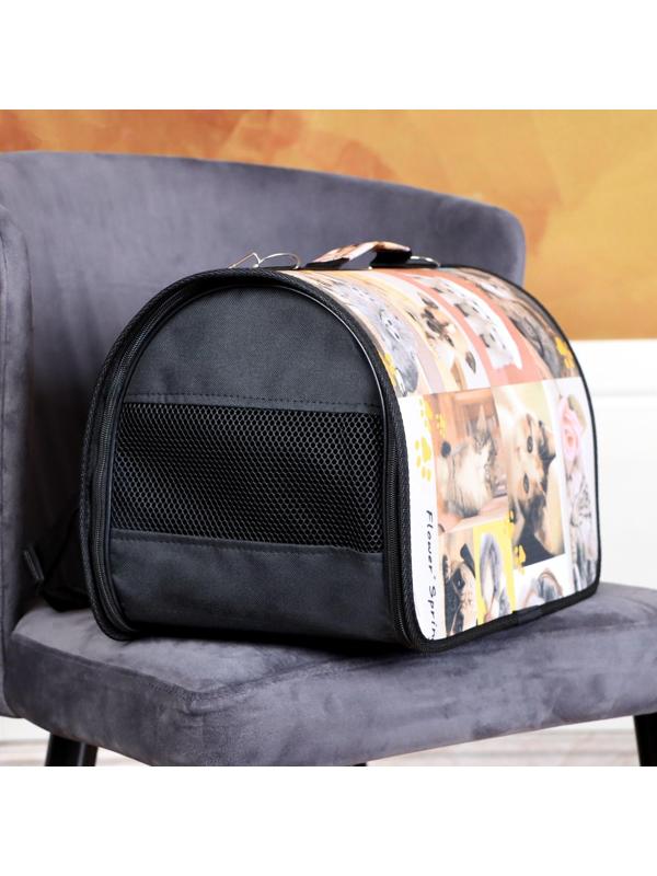 Сумка-переноска с принтом, 40 х 25 х 28 см микс