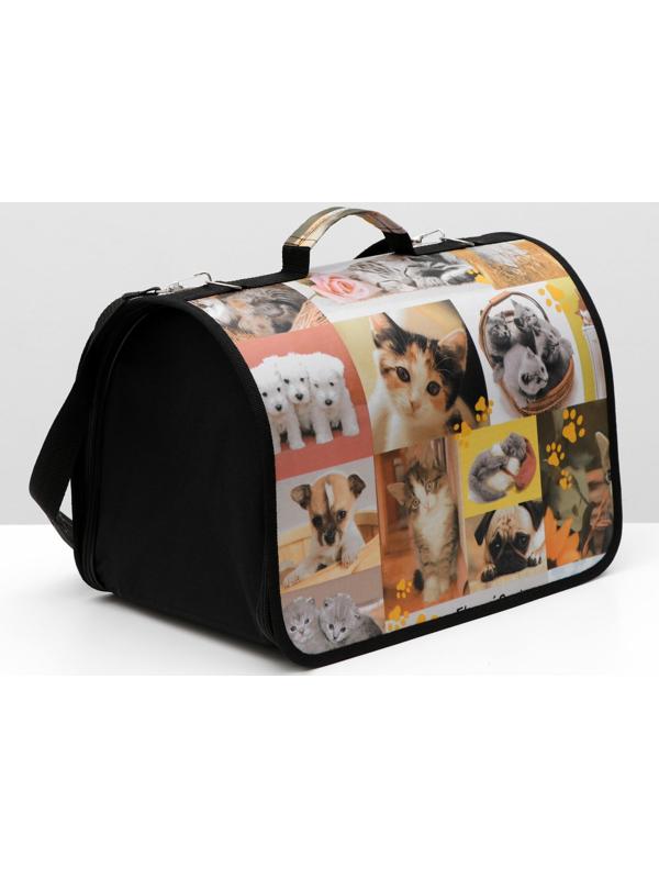 Сумка-переноска с принтом, 40 х 25 х 28 см микс