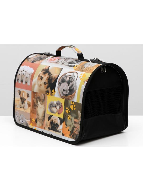 Сумка-переноска с принтом, 40 х 25 х 28 см микс