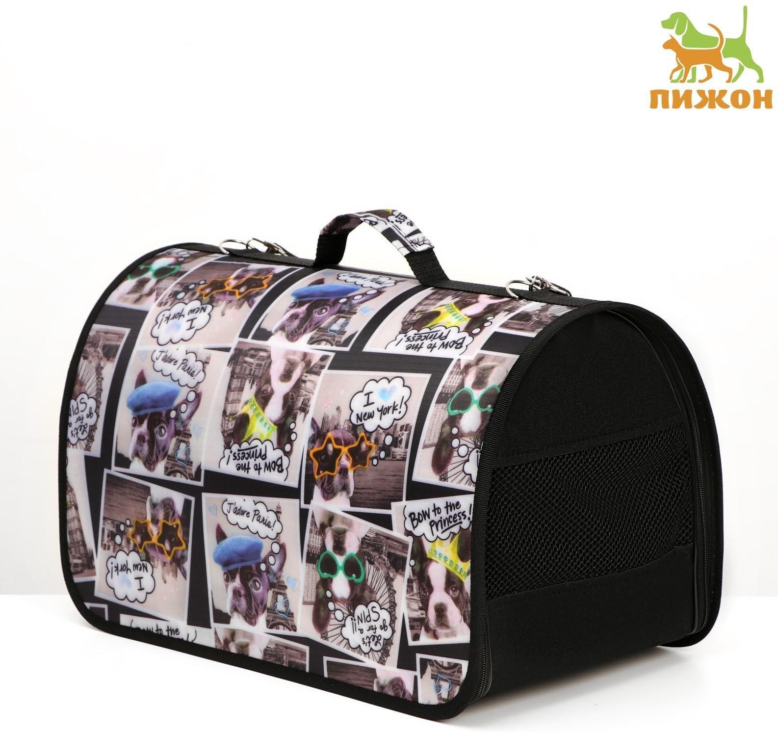 Сумка-переноска с принтом, 46 х 28,5 х 30 см  микс