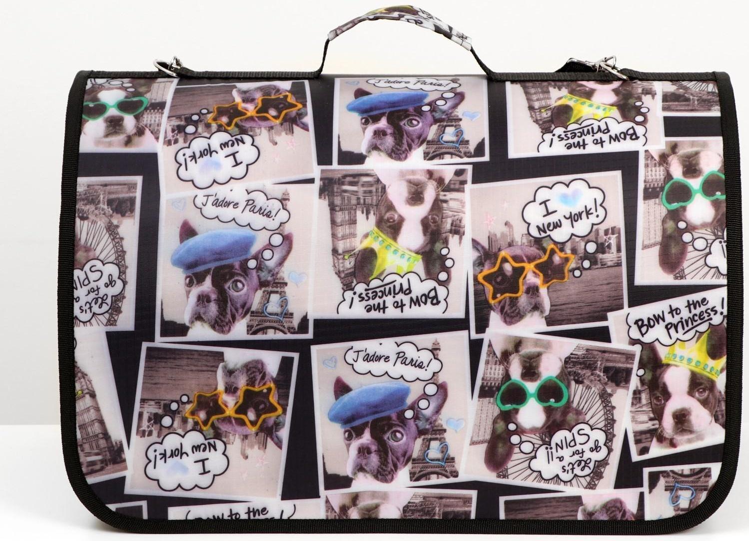 Сумка-переноска с принтом, 46 х 28,5 х 30 см  микс