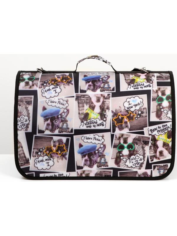 Сумка-переноска с принтом, 46 х 28,5 х 30 см  микс