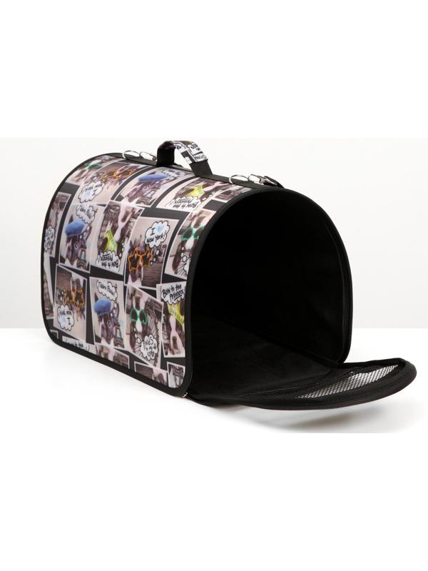 Сумка-переноска с принтом, 46 х 28,5 х 30 см  микс