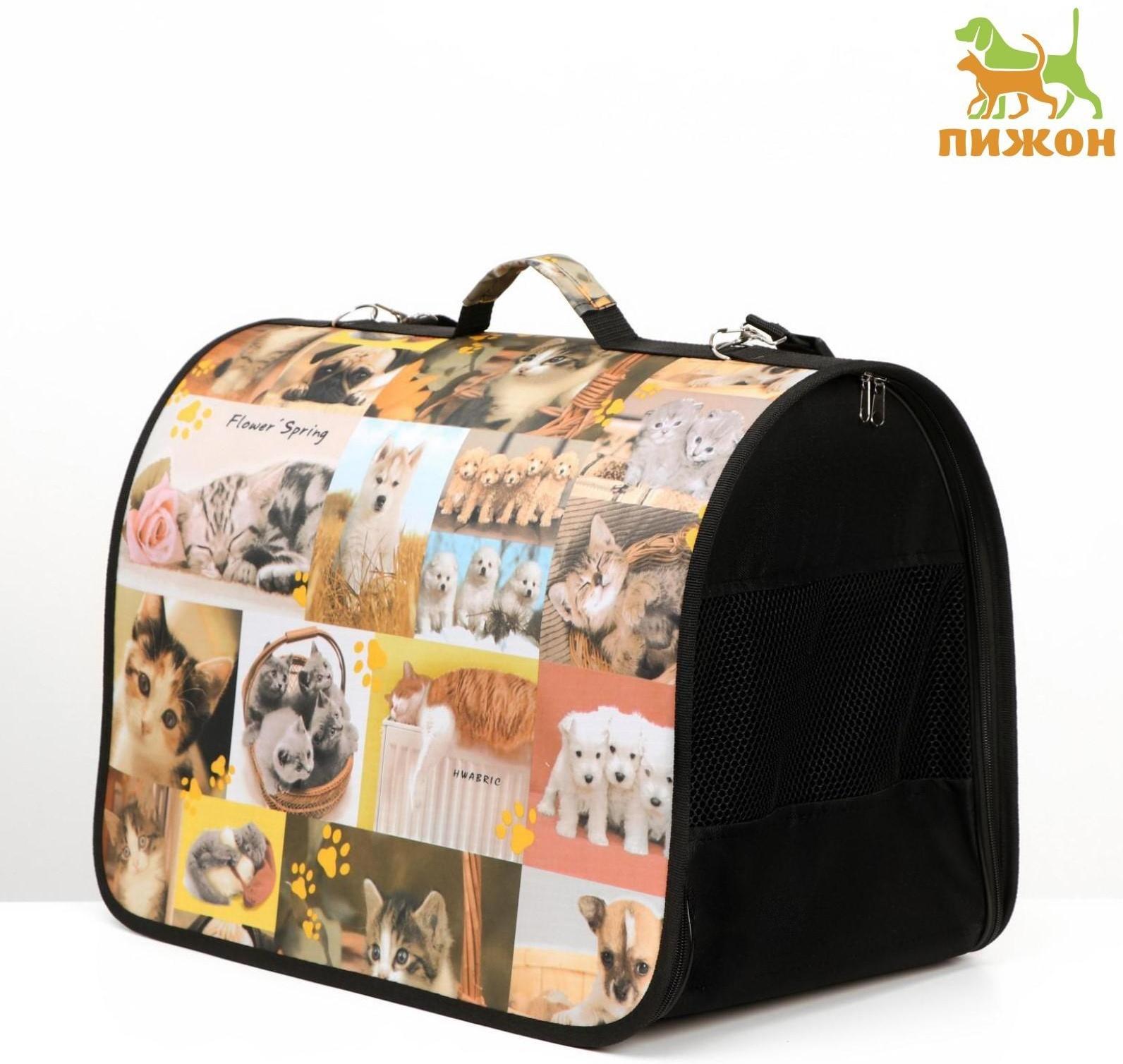 Сумка-переноска с принтом, 49 х 30 х 35 см  микс