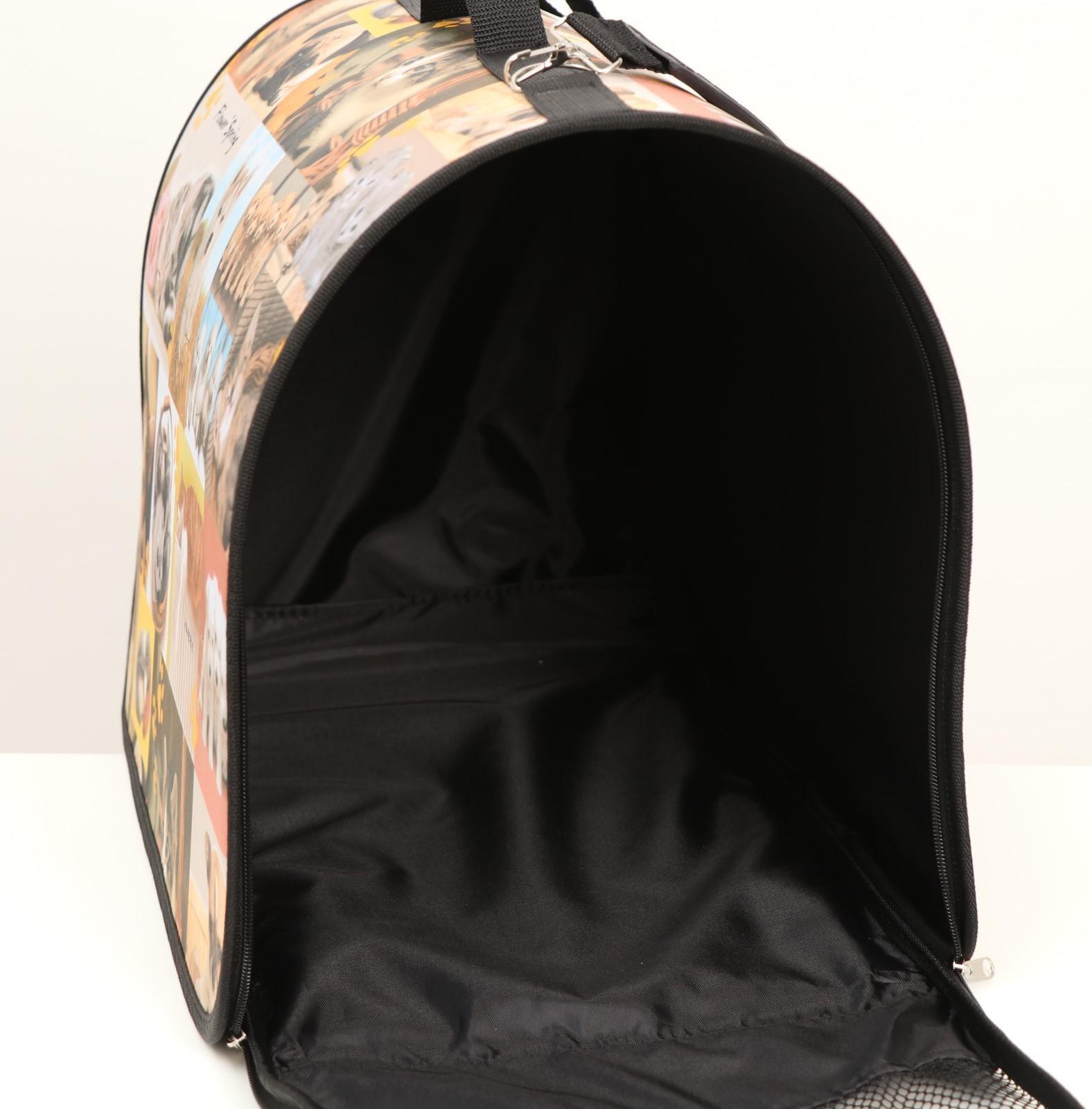 Сумка-переноска с принтом, 49 х 30 х 35 см  микс