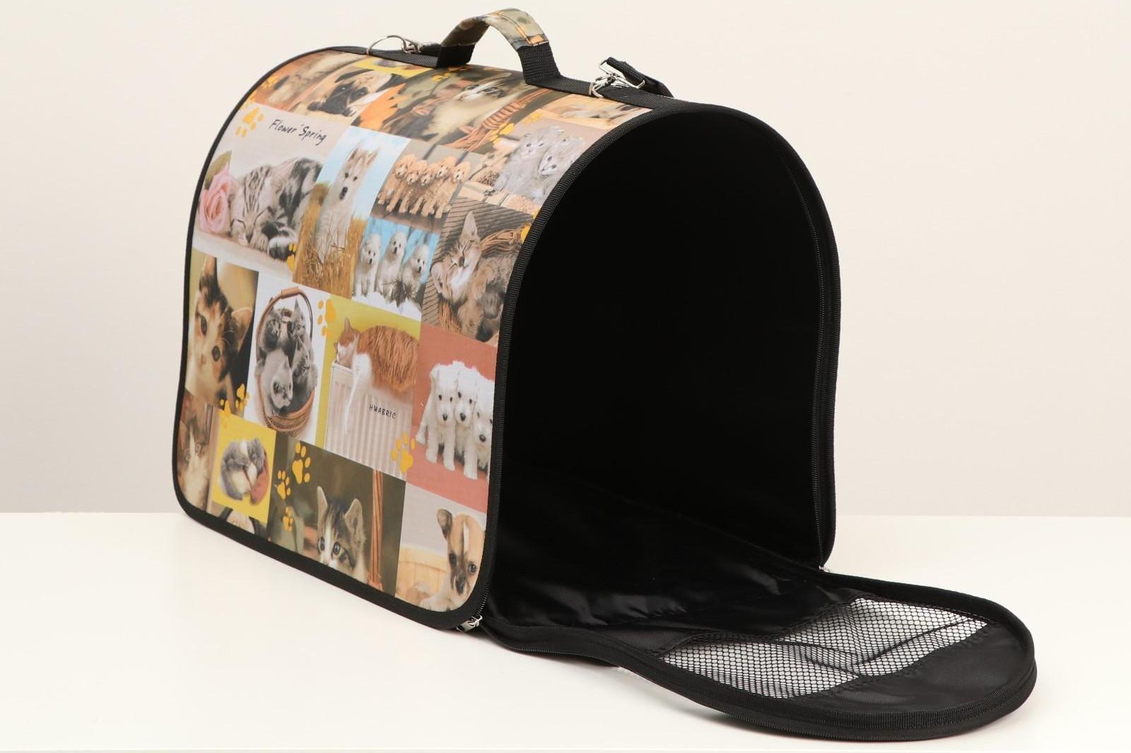 Сумка-переноска с принтом, 49 х 30 х 35 см  микс