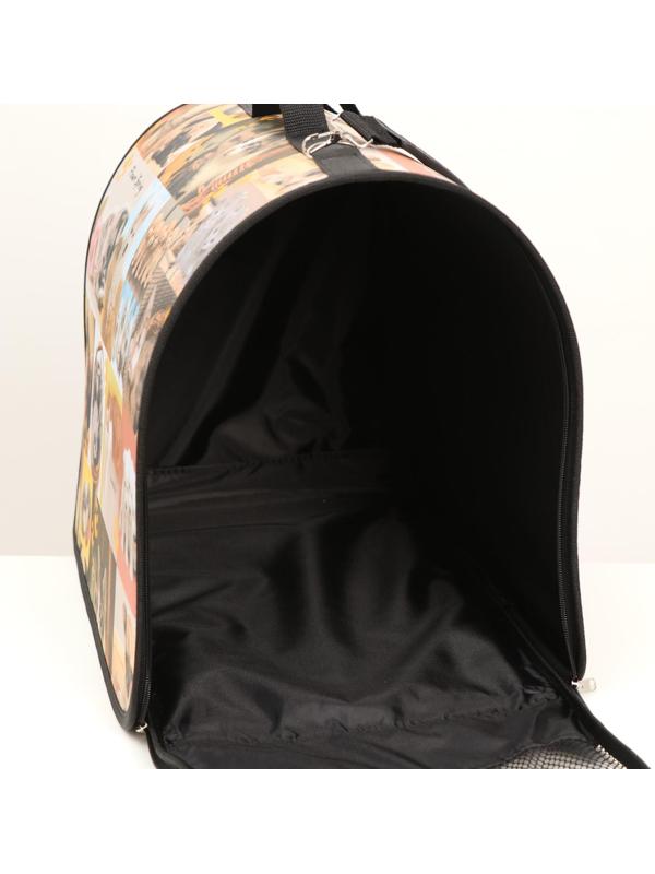 Сумка-переноска с принтом, 49 х 30 х 35 см  микс