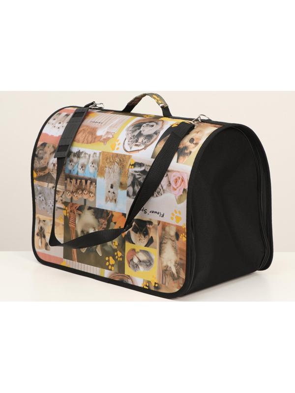 Сумка-переноска с принтом, 49 х 30 х 35 см  микс