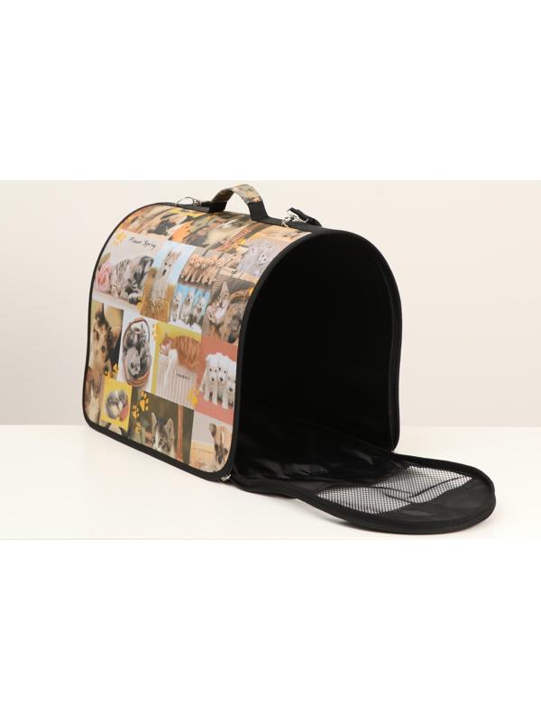 Сумка-переноска с принтом, 49 х 30 х 35 см  микс