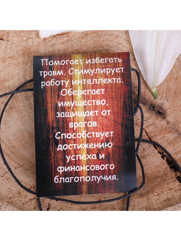 Руна из ювелирной бронзы Альгиз (защищает от порчи и злых духов)