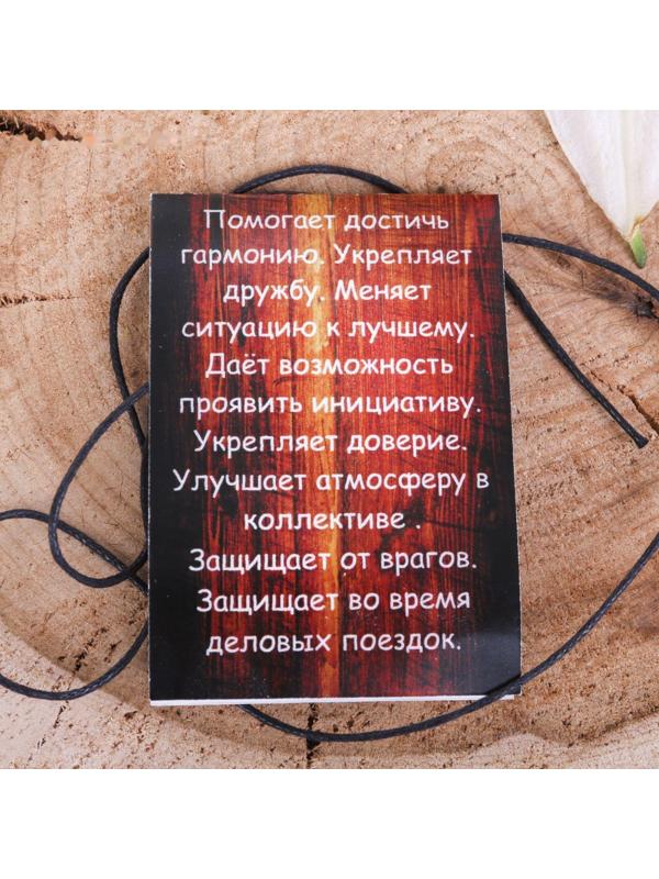 Руна из ювелирной бронзы Эйваз (мощное средство защиты)