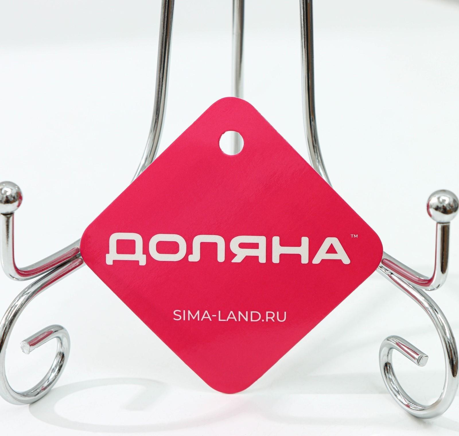 Подставка под тарелки Доляна, 15,5×25,5 см, цвет хром