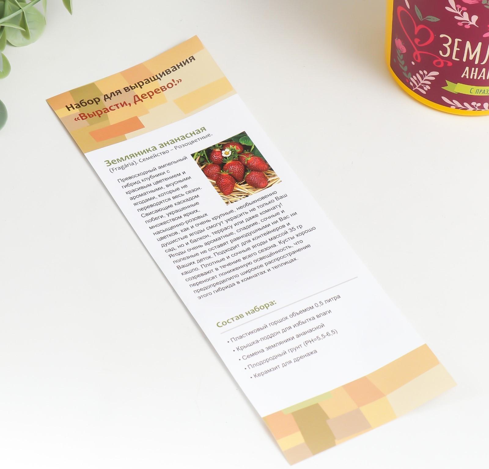 Набор для выращивания растений 