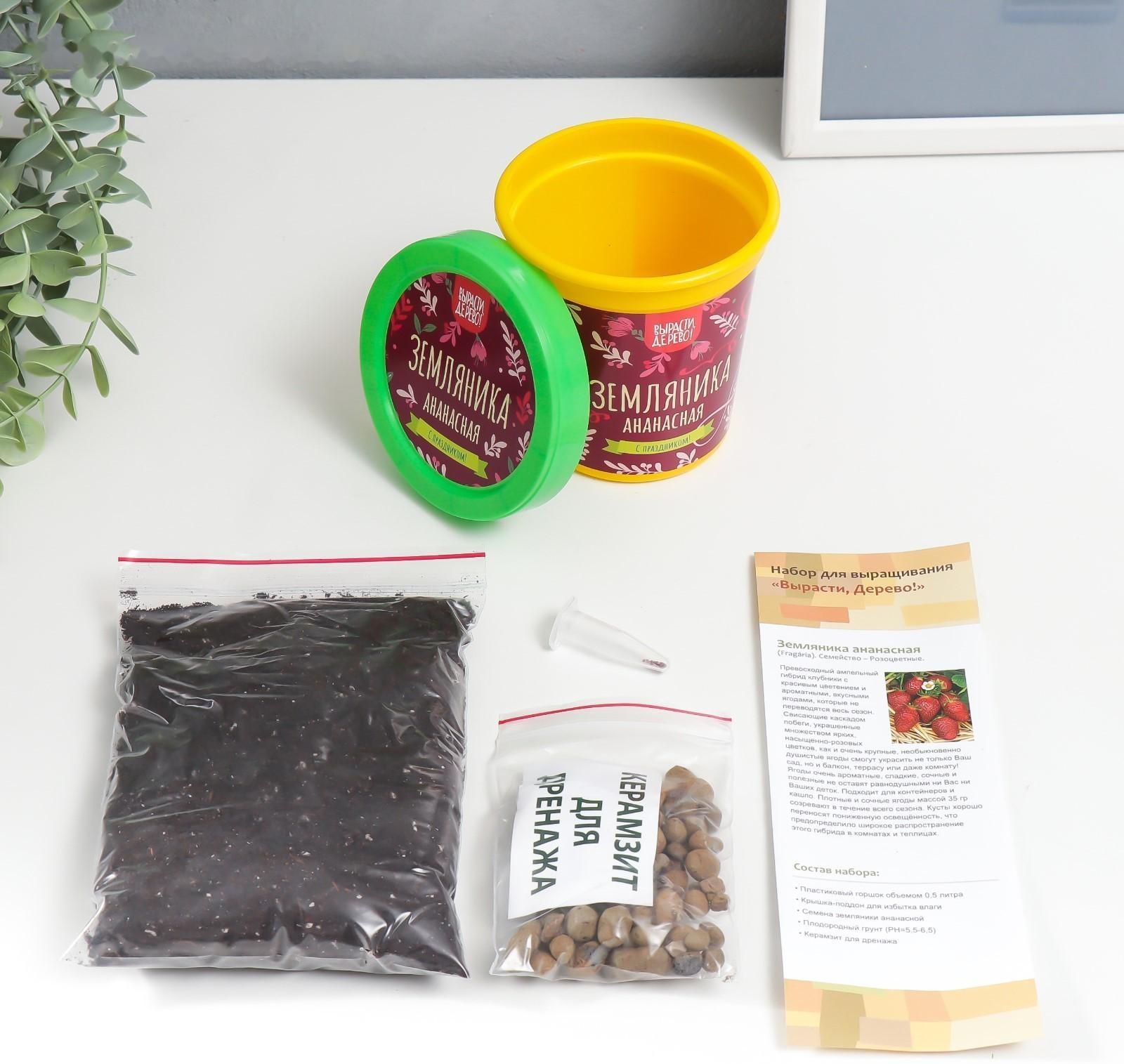 Набор для выращивания растений 