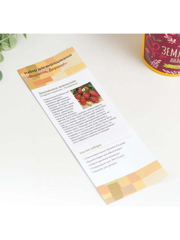 Набор для выращивания растений 