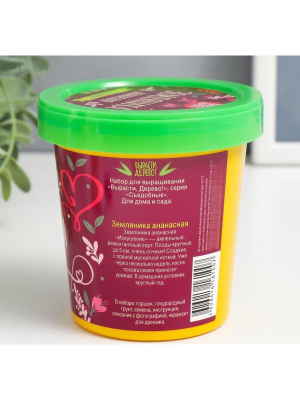 Набор для выращивания растений 