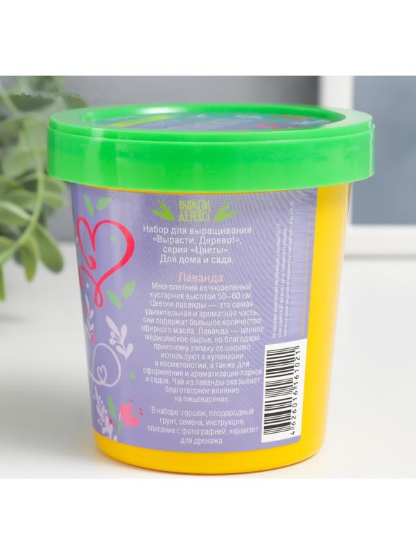 Набор для выращивания растений 