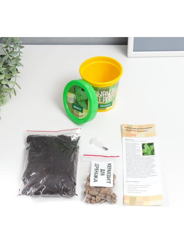 Набор для выращивания растений 