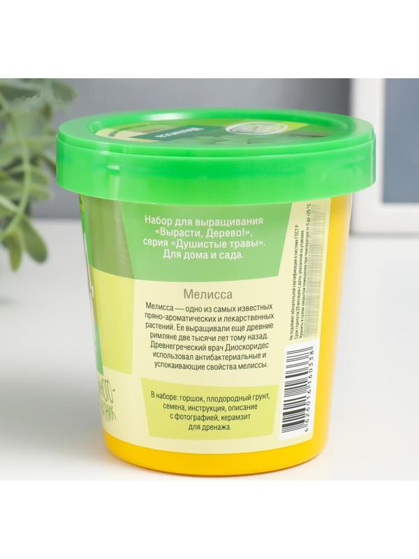 Набор для выращивания растений 