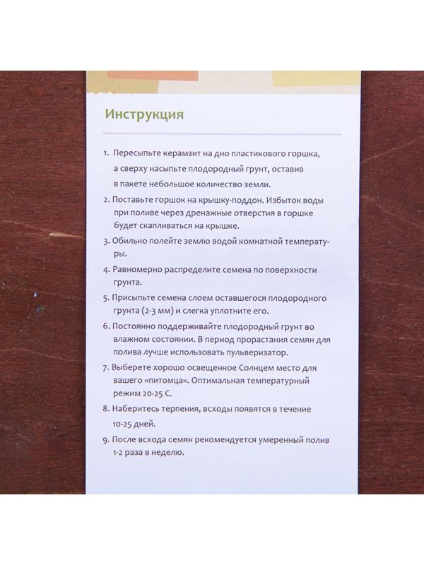 Набор для выращивания растений 