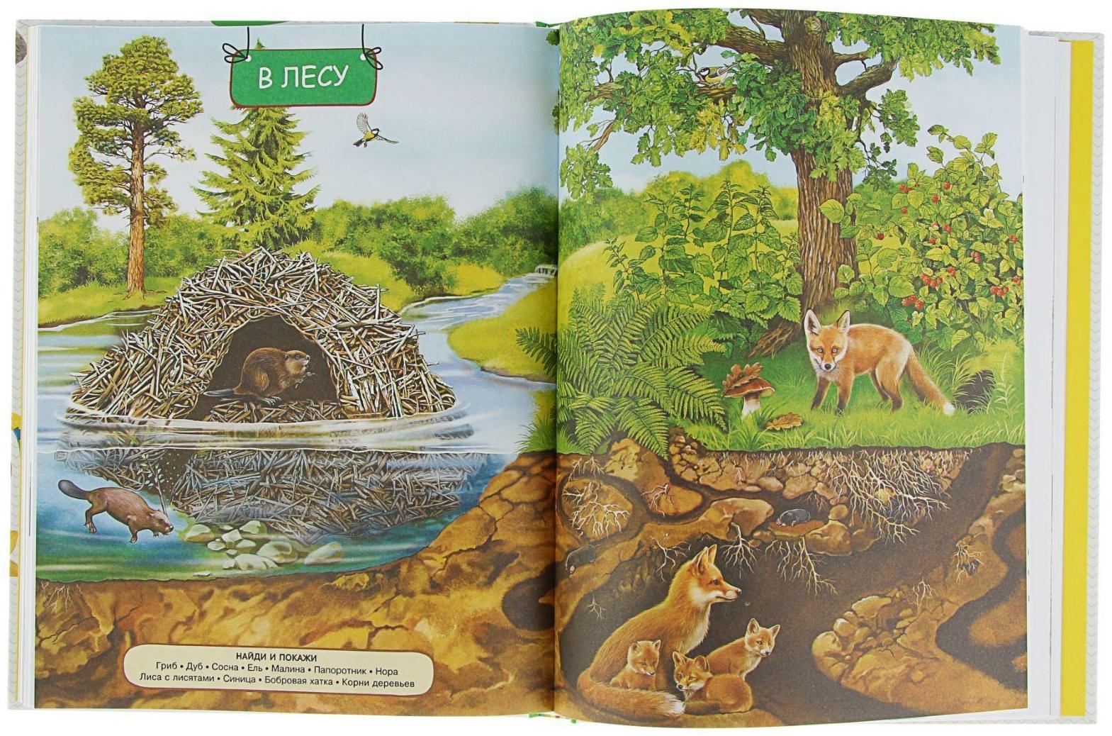 Энциклопедия малыша «Моя первая книга»