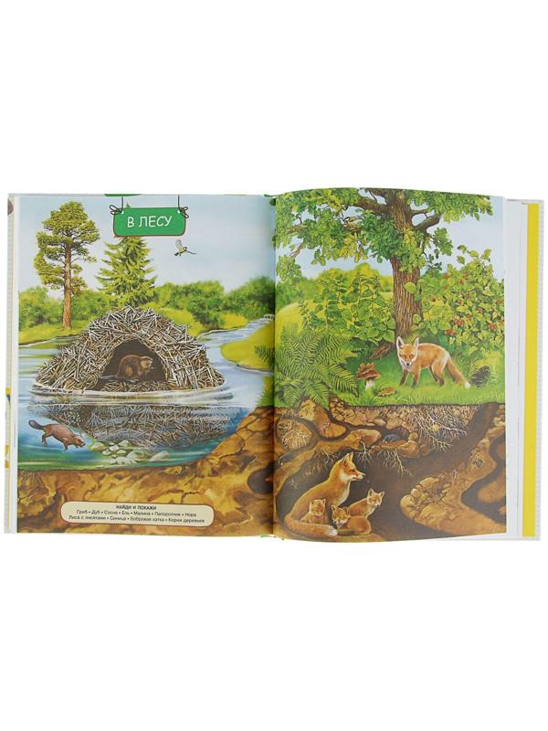 Энциклопедия малыша «Моя первая книга»