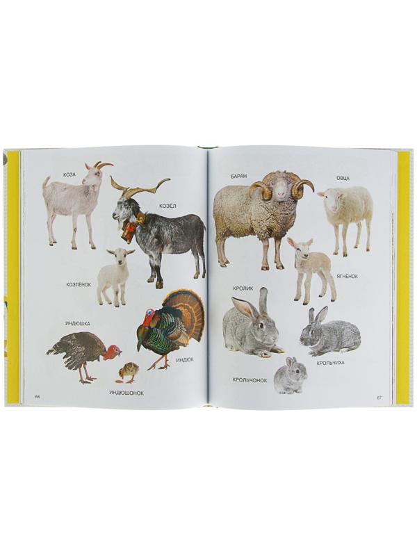 Энциклопедия малыша «Моя первая книга»