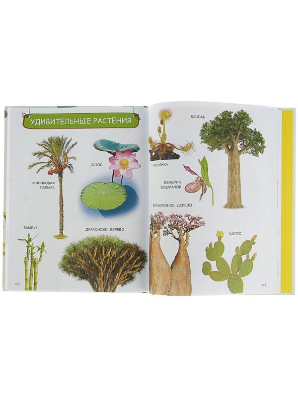 Энциклопедия малыша «Моя первая книга»