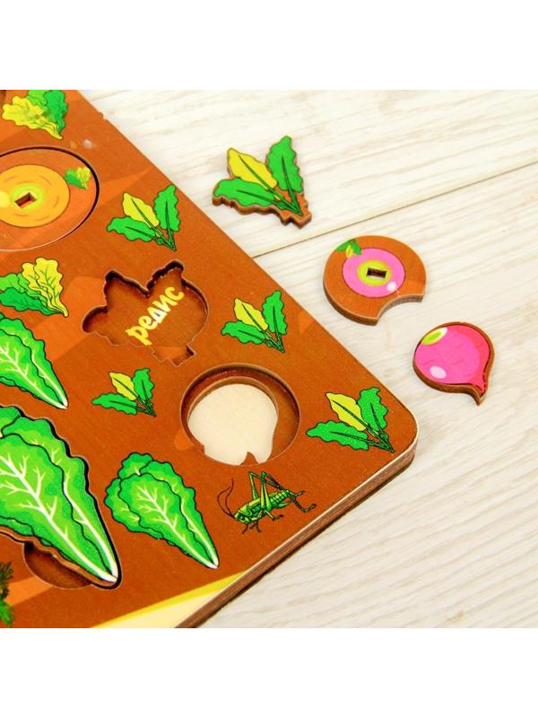 Набор «Овощи на грядке»