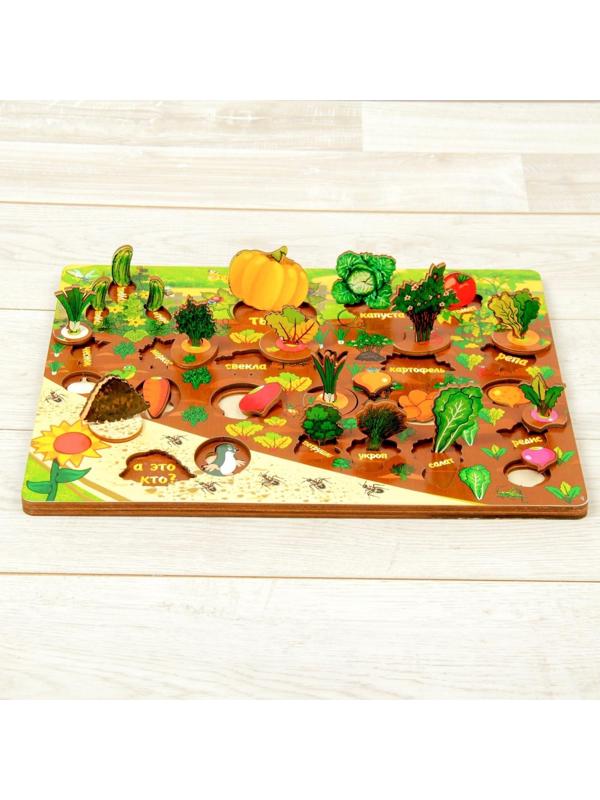 Набор «Овощи на грядке»