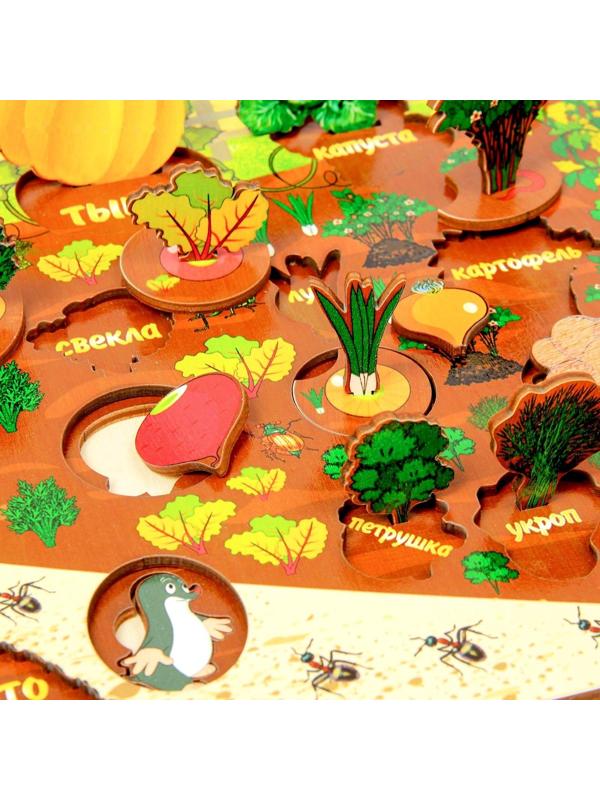 Набор «Овощи на грядке»