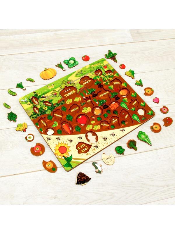 Набор «Овощи на грядке»