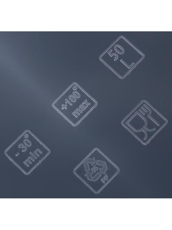 Ящик для хранения с крышкой, 50 л, 53×38×30 см, цвет прозрачный