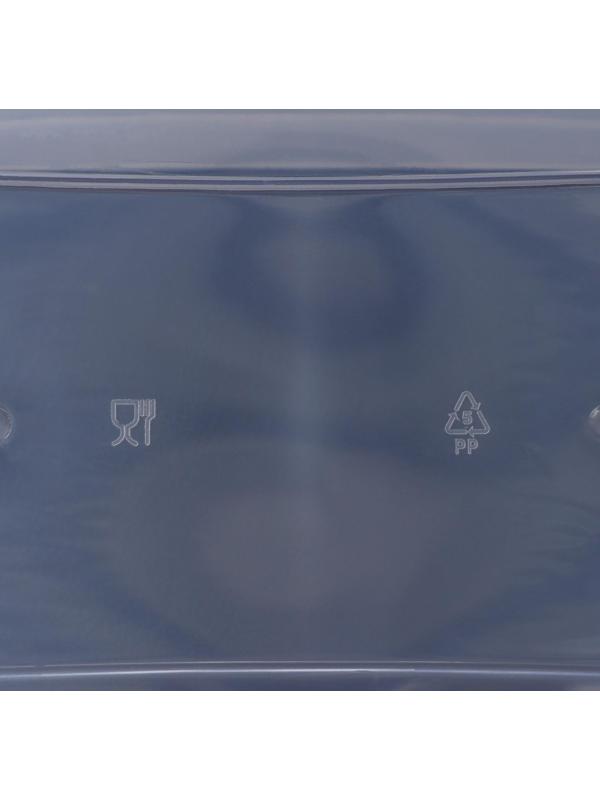 Контейнер для хранения с крышкой, 4 л, 30×17×13 см, цвет салатовый