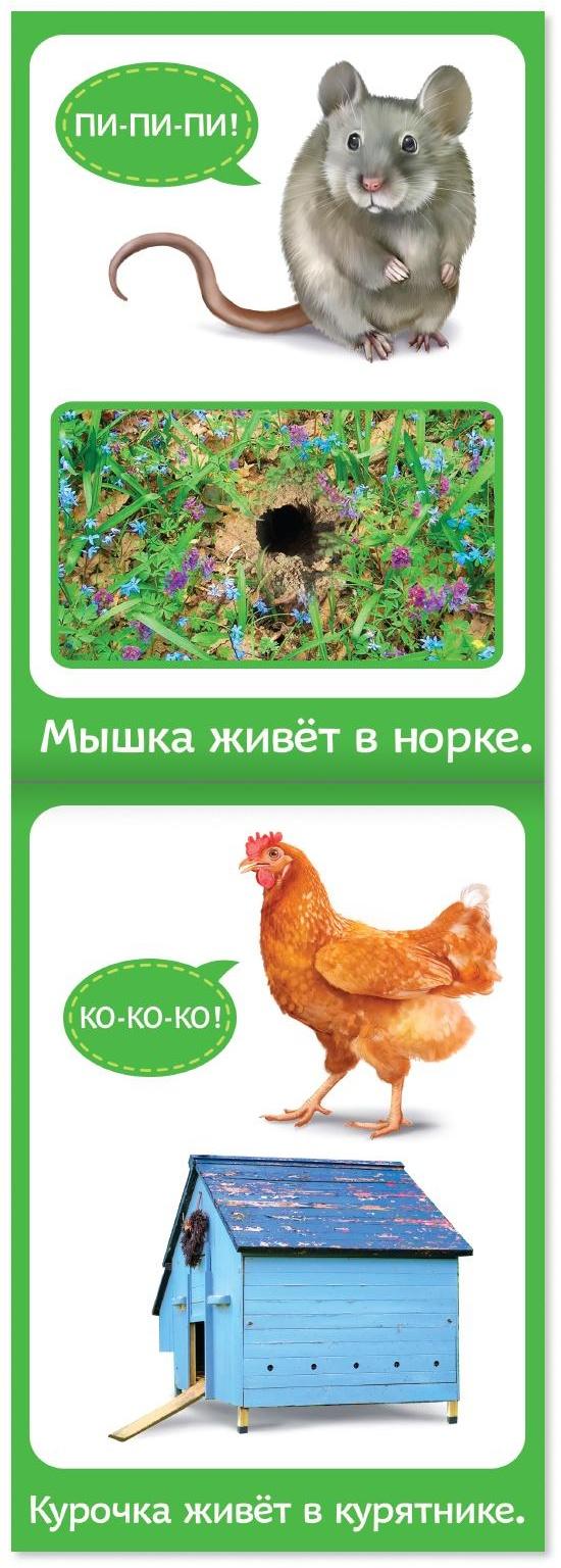 Книги развивающие набор « Растём вместе», 8 шт. по 20 стр.