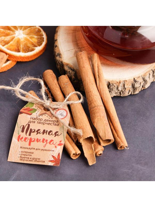 Набор природного декора «Пряная корица»,