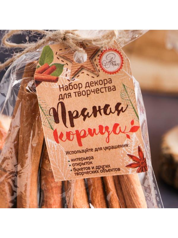 Набор природного декора «Пряная корица»,