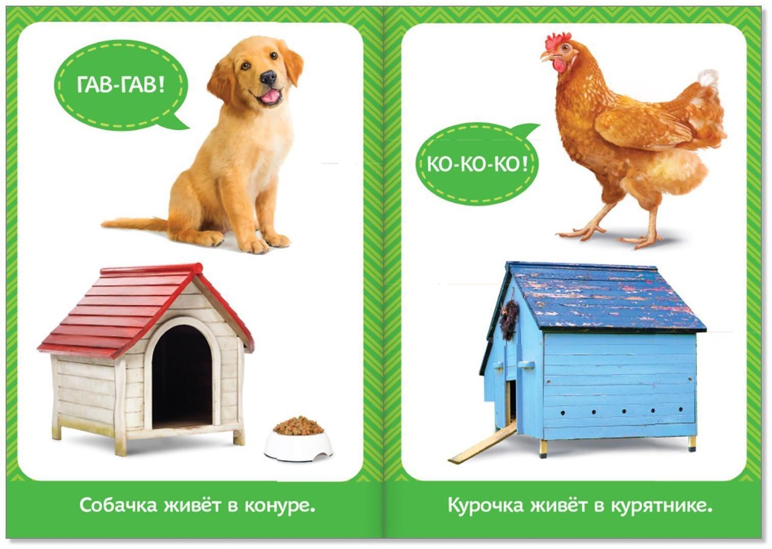 Обучающий блок «Школа талантов», 0-1 год, 16 стр.