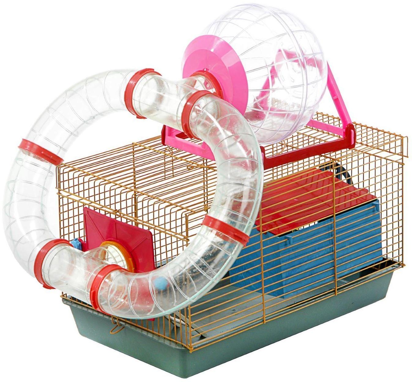 Клетка для грызунов малая с лабиринтом, колесом и домом, микс цветов, 40 x 25 х 22 см