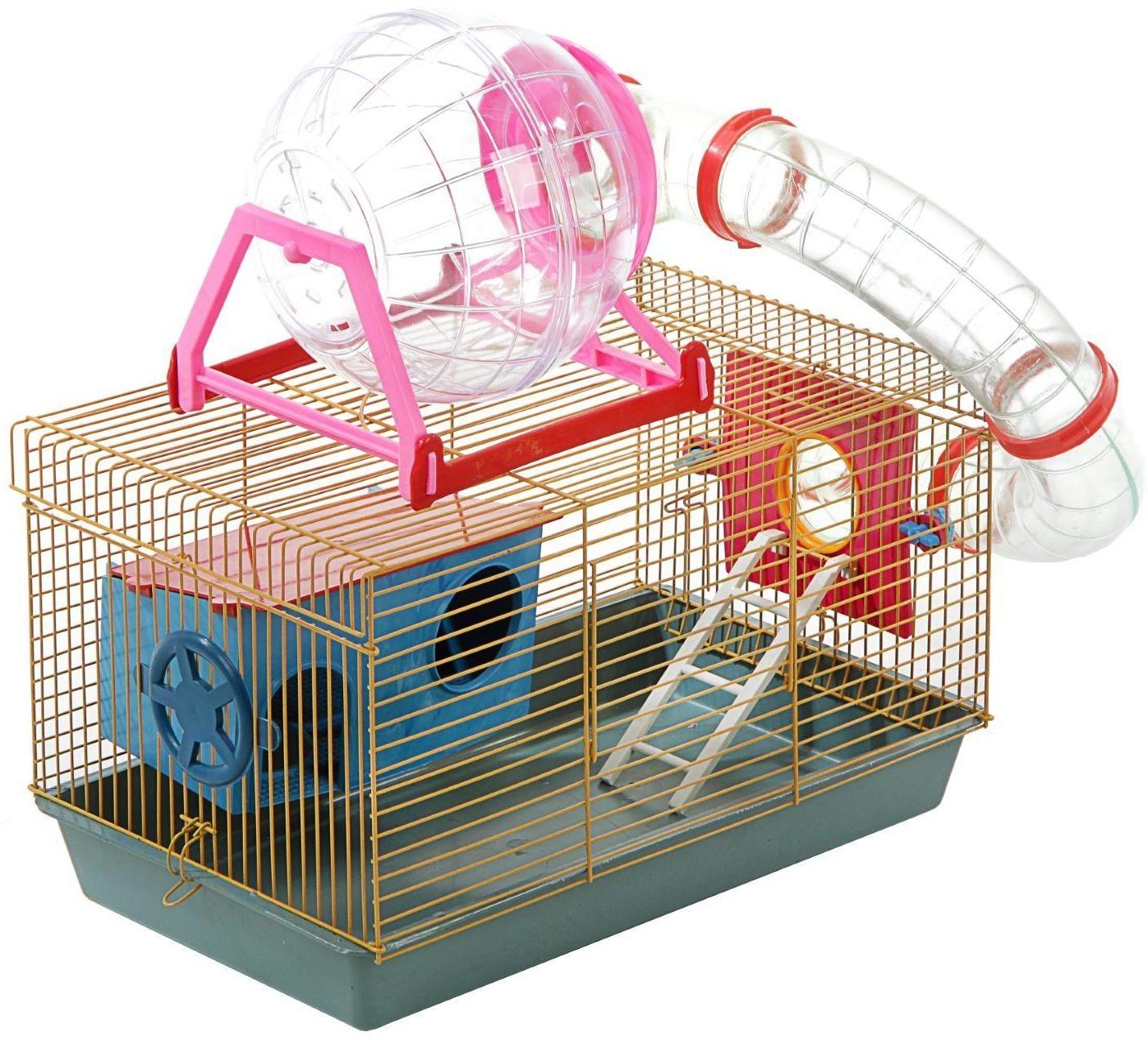 Клетка для грызунов малая с лабиринтом, колесом и домом, микс цветов, 40 x 25 х 22 см