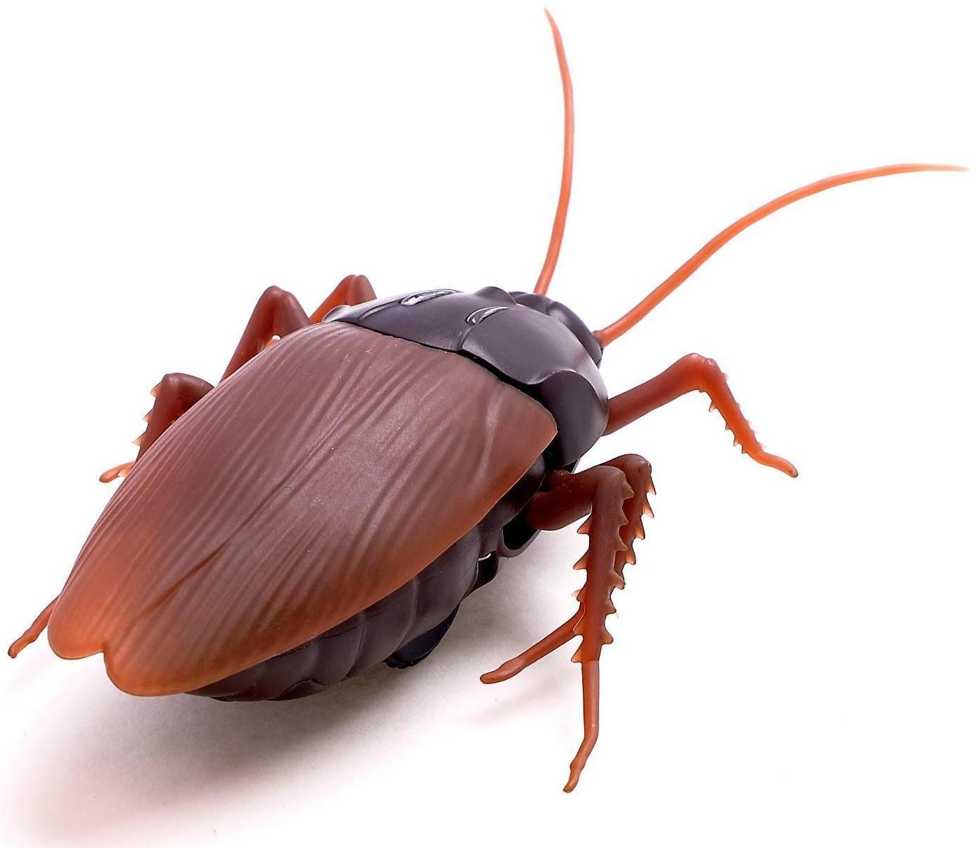 Жук радиоуправляемый «Таракан», работает от батареек, свет